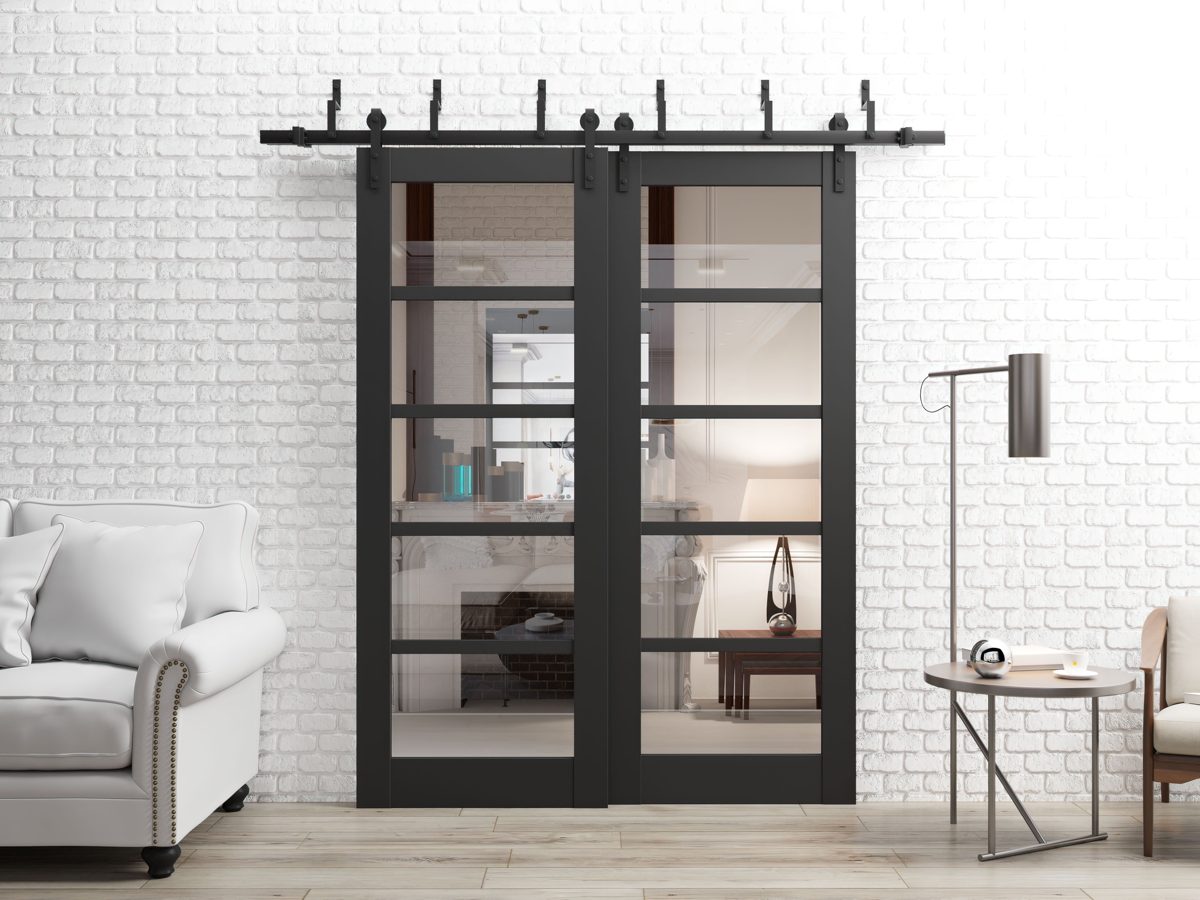 Linea 4522 Double Barn — Bypass door view 2