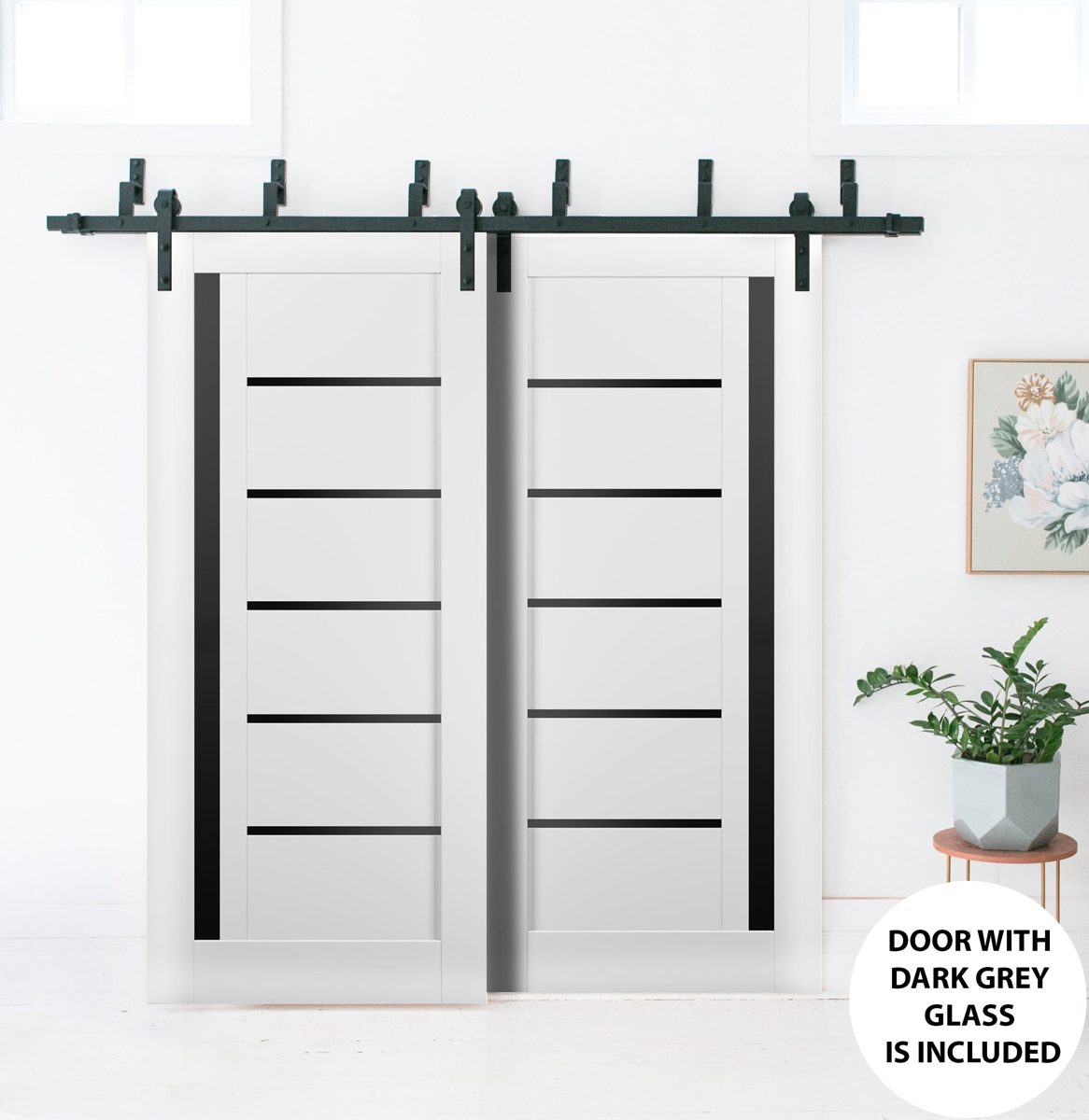 Linea 4588 Double Barn — Bypass door view 2
