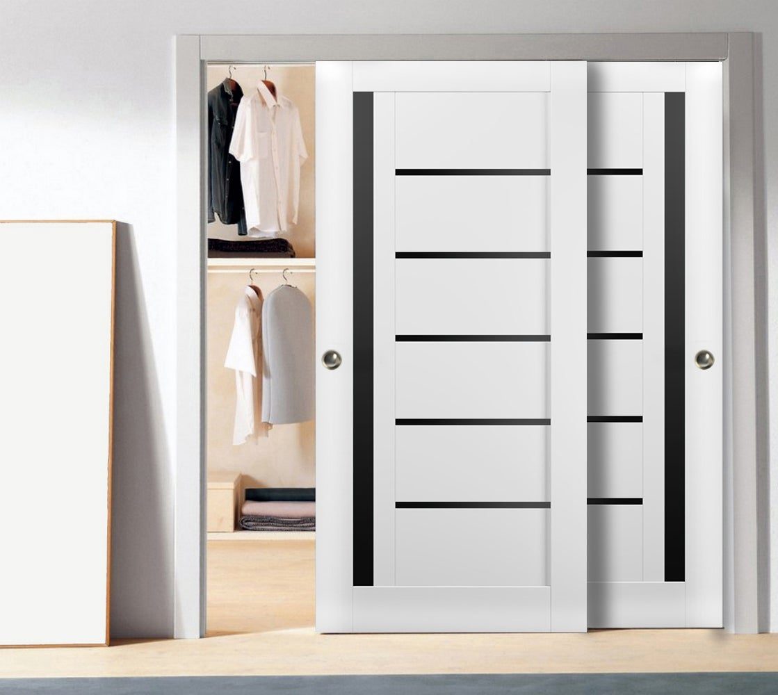 Linea 4588 Bypass door view 2