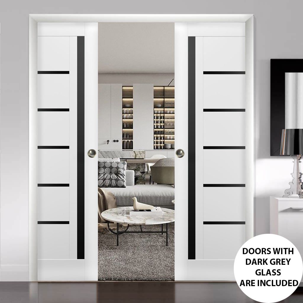 Linea 4588 Double Pocket door view 2