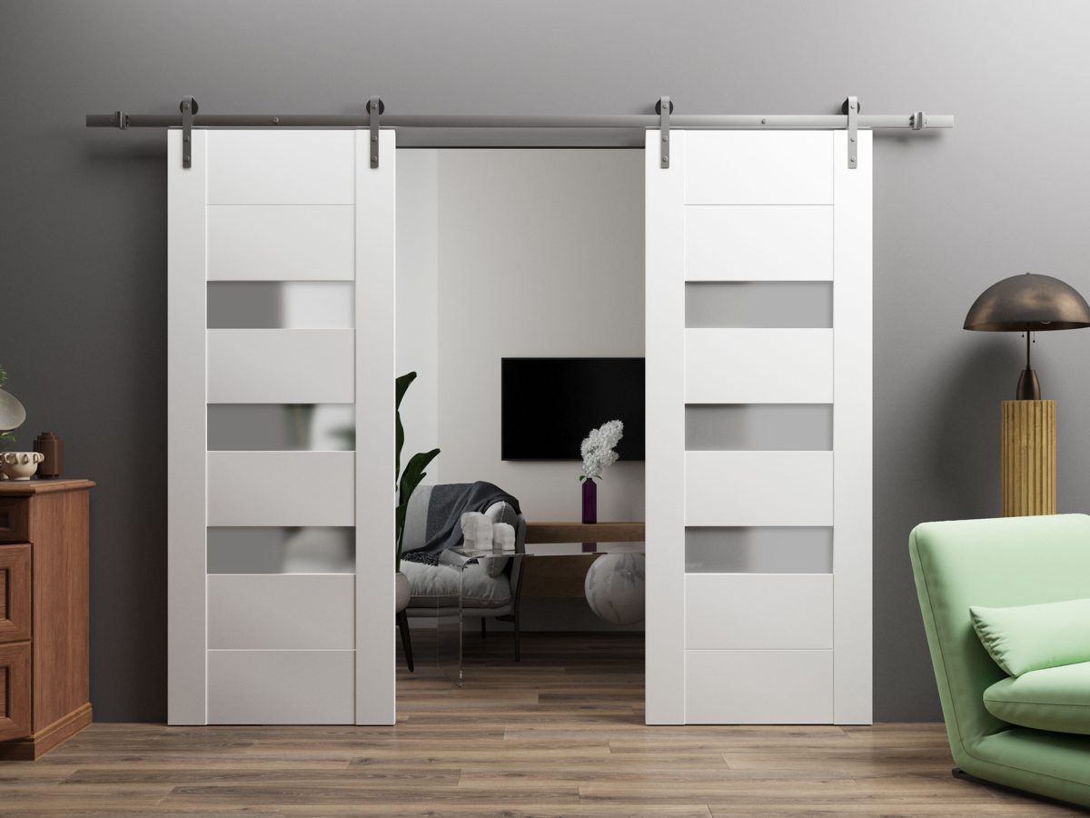 Serena 6900 Double Barn door view 2