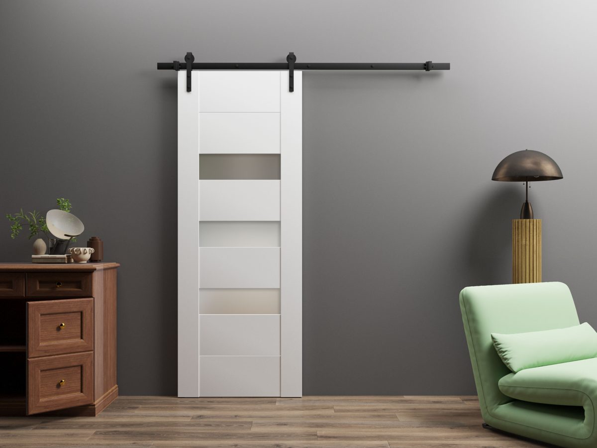 Serena 6900 Barn door view 2