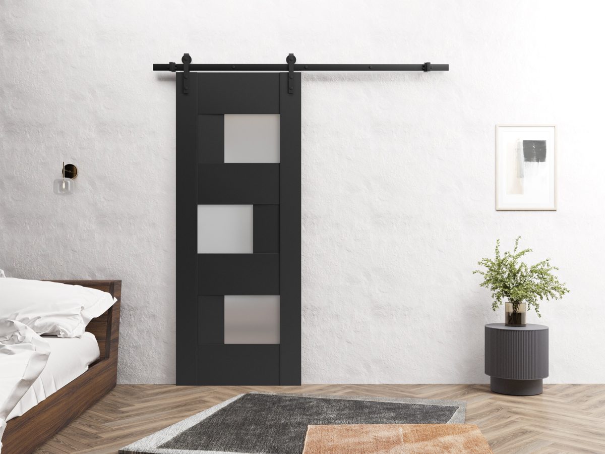 Serena 6933 Barn door view 2