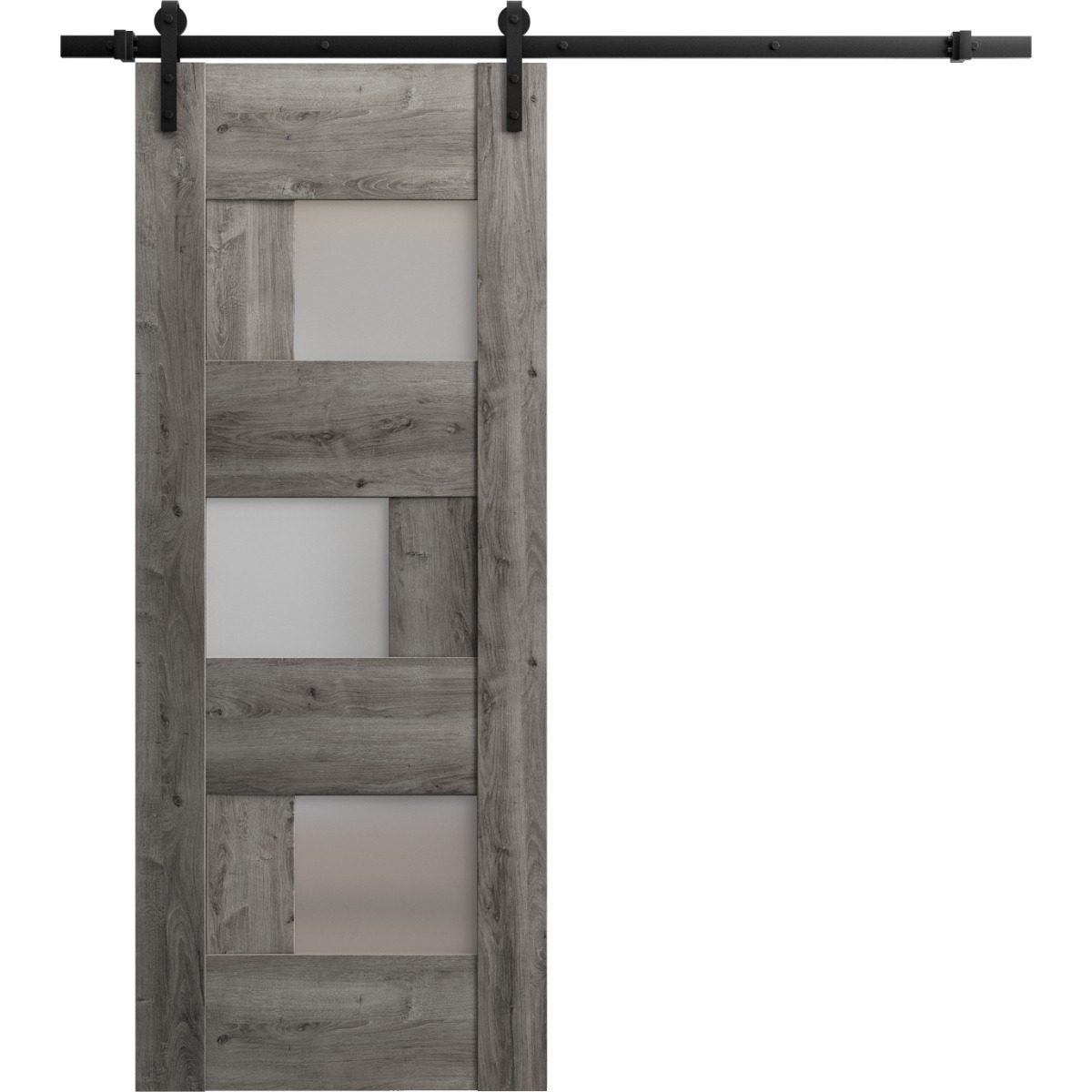 Serena 6933 Barn door view 5