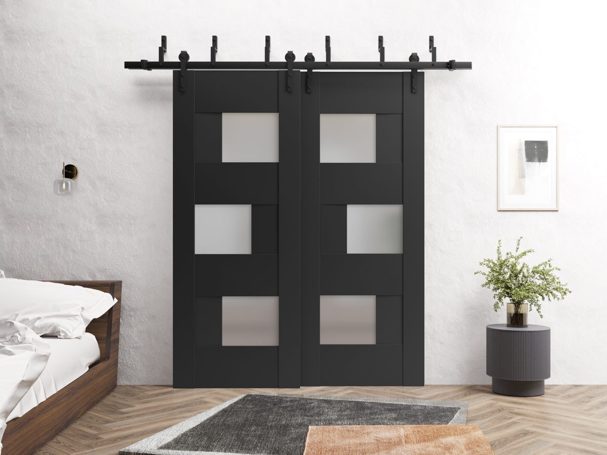 Serena 6933 Double Barn — Bypass door view 2