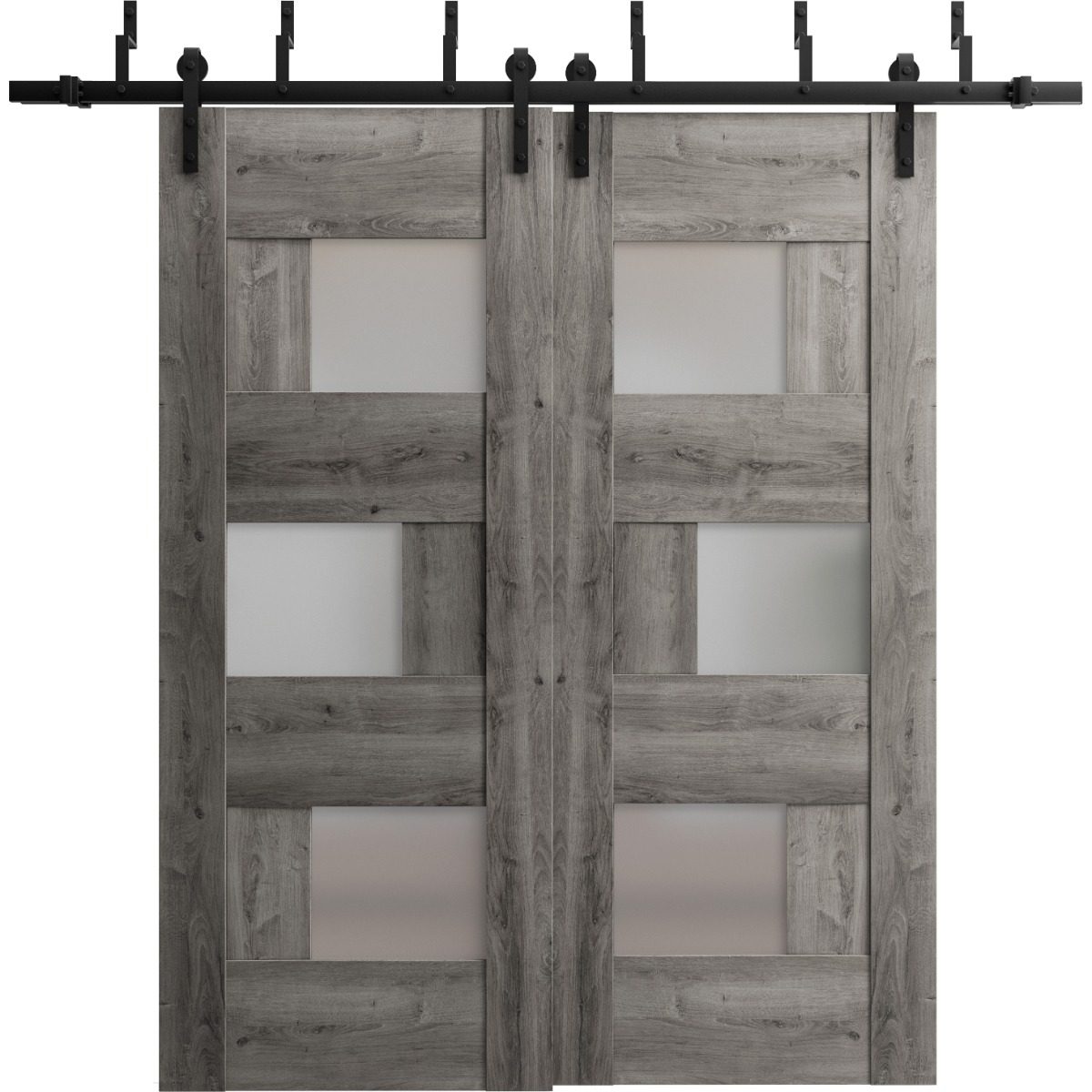 Serena 6933 Double Barn — Bypass door view 5