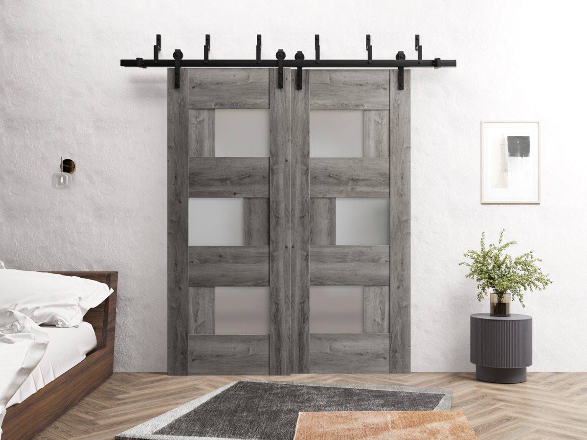 Serena 6933 Double Barn — Bypass door view 6