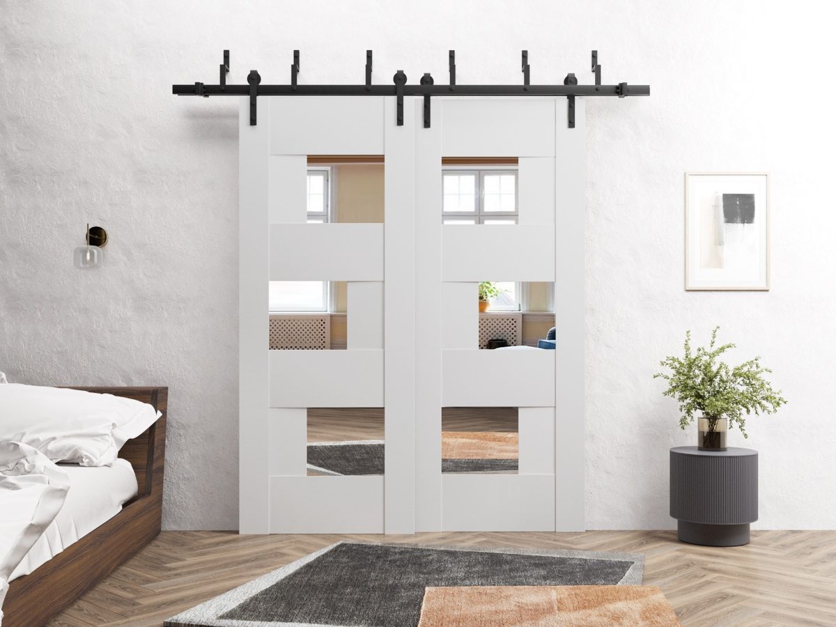 Serena 6999 Double Barn — Bypass door view 3
